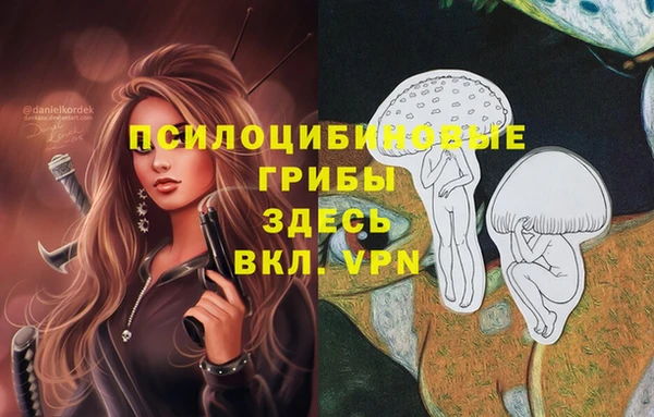 не бодяженный Богородицк