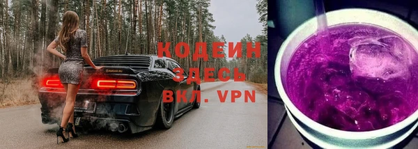дурь Богданович