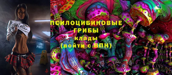 дурь Богданович